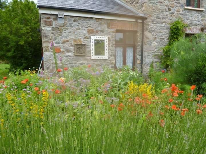 Bed and Breakfast Middle Mill Kidwelly Exterior foto